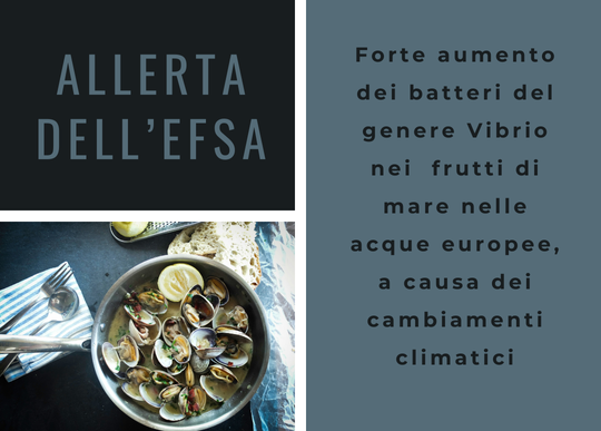 aumento batteri nei frutti mare.png